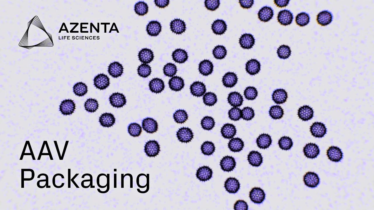 GENEWIZ AAV Packaging from Azenta Life Sciences