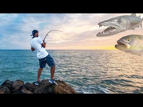 Mission: Bluefish & Barracuda with the New Gear – ft. Ballistich Air LT