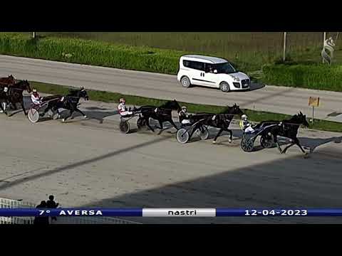 Aversa trotto 12 Aprile 2023 - 7° Corsa