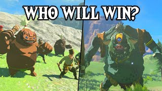 Monster Control Crew VS HINOX! | Zelda: Tears of the Kingdom