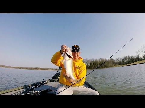 GoPro: Brent Callicott - Best Catch 7.15.15 - Fish