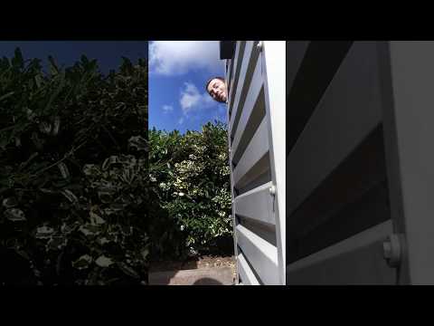 Chinese Dave ent. presents: 10 cigarettes