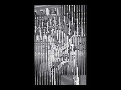 DJ garo tv Ana's Dan baiwa