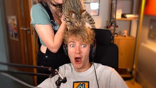 Tommy Reveals New Cat!