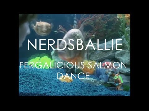 Fergalicious Salmon Dance - Fergie VS. The Chemical Brothers (mashup)
