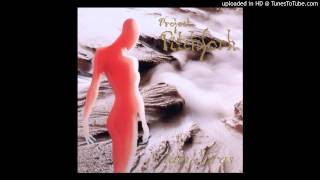 Project Pitchfork - Entering The Life Towards Illumination (Bodhisattvacaryatara)