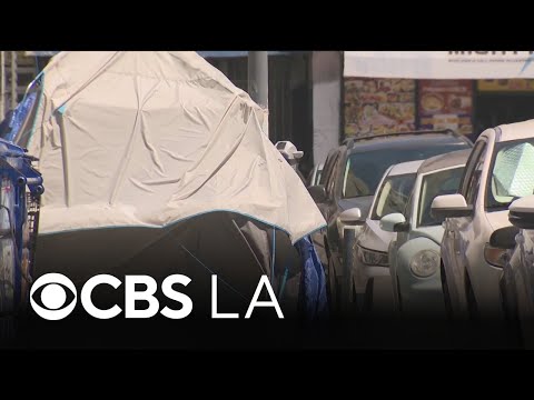 Los Angeles Homeless Services Authority to lay off more than ...