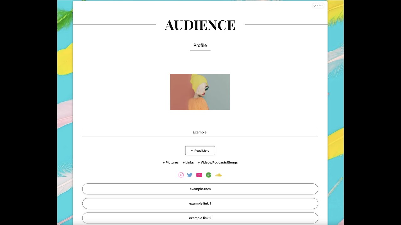 Audience Profile Example! (musician)