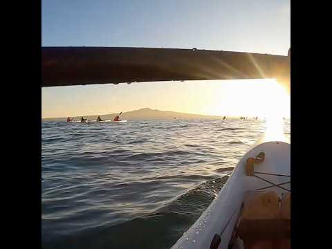 Sunrise paddle #surfski #paddlers #sunrise #newzealand