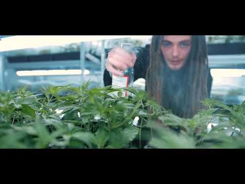 Eighty8 - nakoukněte do zákulisí českého výrobce CBD