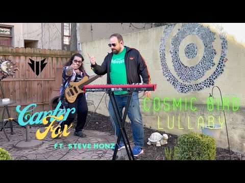 Carter Fox ft. Steve Honz - Cosmic Bird Lullaby