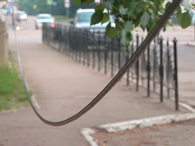 Сорванный провод болтается в центре Ангарска