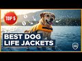 TOP 5 Best Dog Life Jackets 2026 | A Must-Have Safety Device for Water Adventures