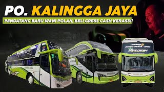 Download lagu The Story of Kalingga Jaya Challenging Muria Raya - All Buses Bought in Cash! mp3 Download lagu The Story of Kalingga Jaya Challenging Muria Raya - All Buses Bought in Cash! mp3