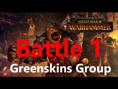 Heroes of the Old World - Greenskins Group - Battle 1