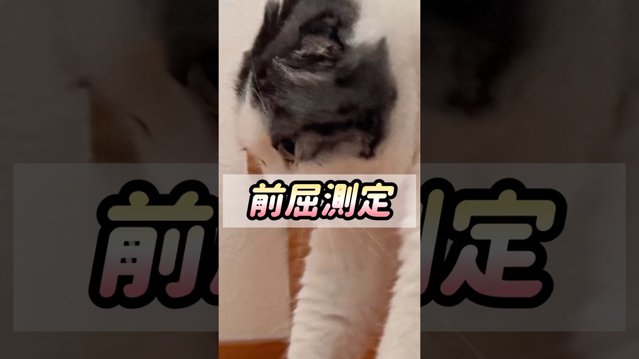 そりゃそうだろ！笑