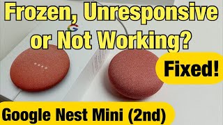 Nest Mini (2nd gen): Frozen, Unresponsive or Not Working Correctly? Fixed!