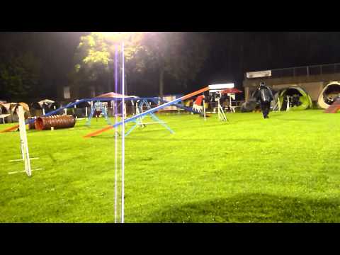 A2 Rheine, Moonlight Dog Challenge,  16/17.07.11 LR Piwowarczyk V0 Aufstieg A3