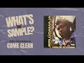 Jeru The Damaja Come Clean What S The Sample Whatsthesample