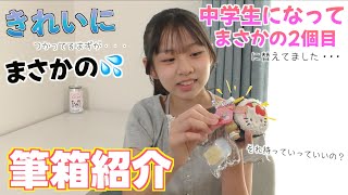中学生の筆箱の中身全部見せます!!「やっぱりね」って言われそうな中身になってた・・・