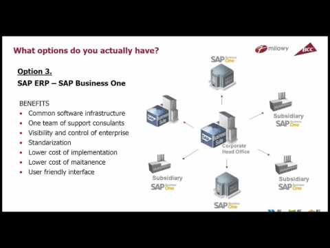 An alternative for international companies – SAP Business One for small commercial branches, SAP ERP rollout for the large