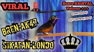 Download lagu KONIN DACOK NgeBREN NEMBAK SIKATAN LONDO‼️-MASTERAN KONIN FULL TEMBAKAN MEWAH🔥#konin #kolibri #viral mp3