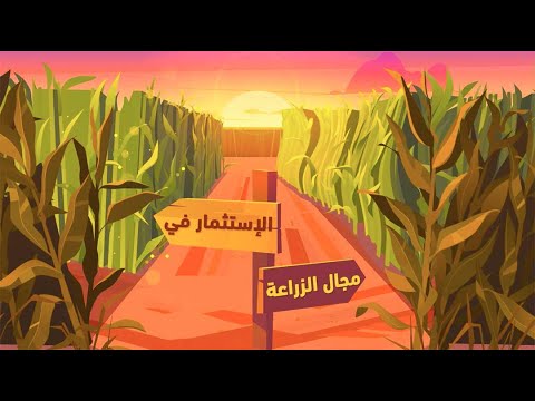 Synvento – Agribusiness Consultants | Website, Social Media & Motion Video