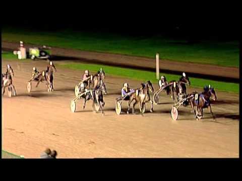 Compilatie Your Love Lois