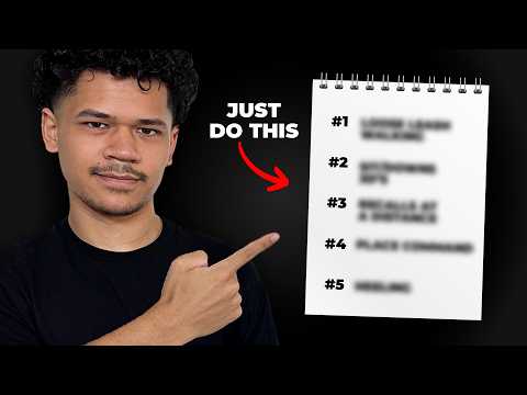 5 Commands Every Dog NEEDS to Know