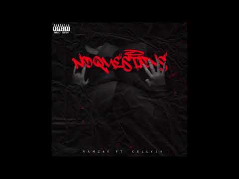NAMZ60 X CELLY14 - No Questions (Audio)