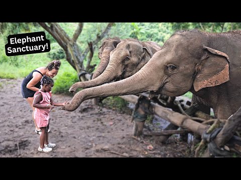 Tyanna's 5th Birthday Surprise | Elephant Nature Park!