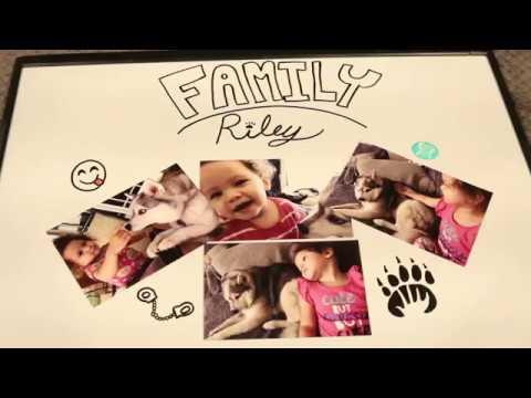 Koda's Paw My Life #TheBarkchshler #TeamKoda