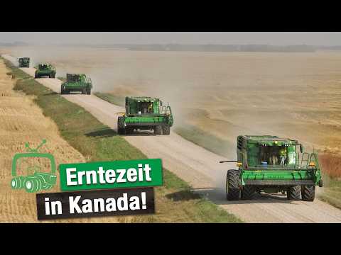 Roadtrip Kanada | Unser Agrar-Adventure Roadmovie Kanada 2025 | Agrarreise | | Ernte | Tammo Gläser