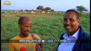 Download lagu Madaxwayne Cabdi Maxamuud Cumar & Geelijire Maxaa Kala Qabsaday! ‘’Adigaa Miyaa Madaxweynahayaga’’ mp3