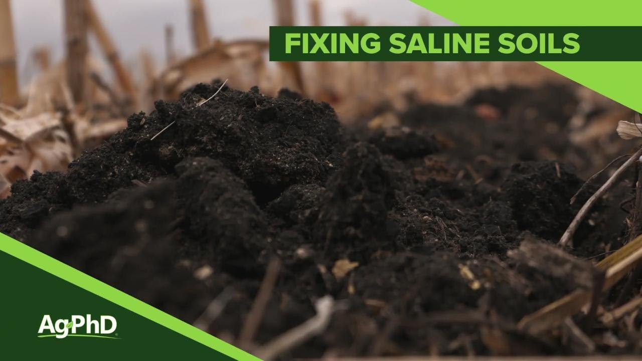 Fixing Saline Soils #1084 (Air Date 1-13-19)