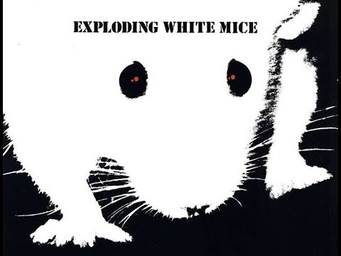 Exploding White Mice Live at the Producers Bar