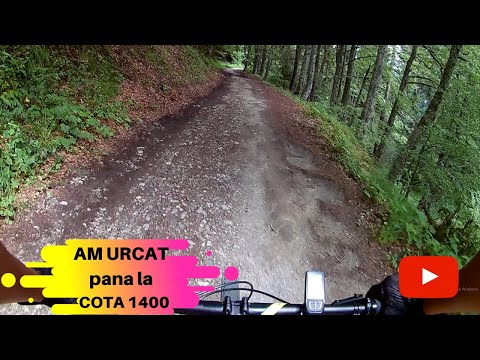 SINAIA COTA 1400 (urcare , trasee si multe pietre)