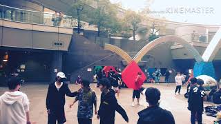 Melbourne shuffle\ 1 year | LB-Rose\浅蓝玫瑰