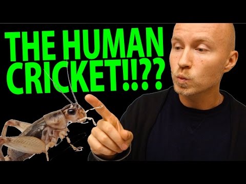 HOW TO CHIRP LIKE A CRICKET !?