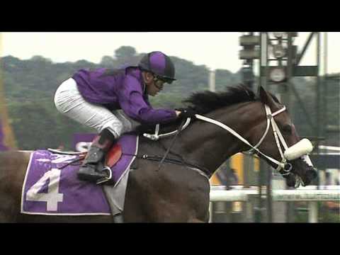 SRA 2013 (Champion Older Horse - Lizarre)