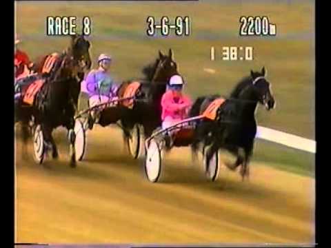 1991 Kilmore Guineas