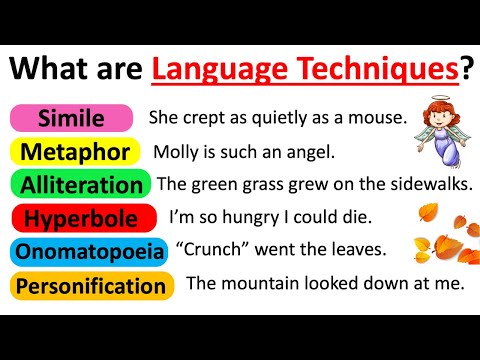 LANGUAGE TECHNIQUES | With Examples