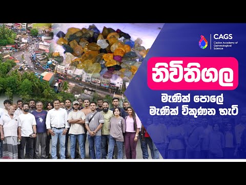 Inside Nivithigala Gem Market – Real Learning, Real Experience 💎