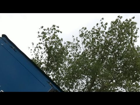 Rund um Lampertswalde