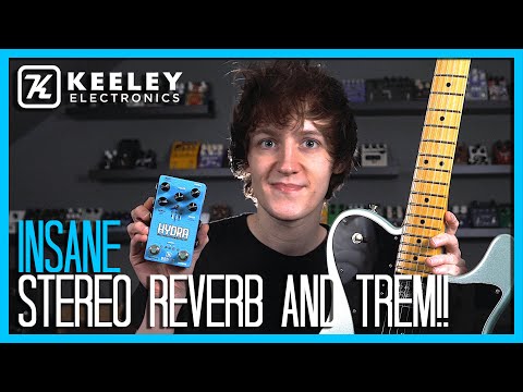 THE BEST REVERB AND TREMOLO PEDAL EVER?! Hydra - Keeley Electronics Demo