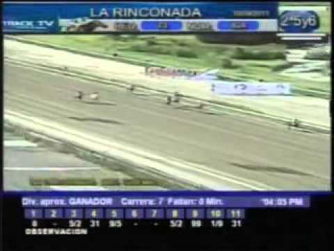 Resumen Sábado, 10 de Septiembre de 2011   La Rinconada