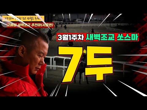 3/1-2--강백호-고배당새벽조교