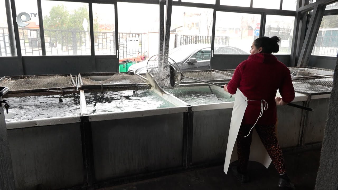 С лев по-скъп е Никулденският шаран по магазините в Хасково тази година, търсенето все още е слабо