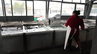 С лев по-скъп е Никулденският шаран по магазините в Хасково тази година, търсенето все още е слабо