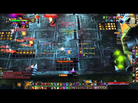 Brawler's Guild Tyson Sanders - Rank 8 - Fight 2